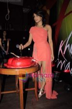 Priyanka Chopra at 7 Khoon Maaf promotional event in Enigma on 14th Feb 2011 (30).JPG